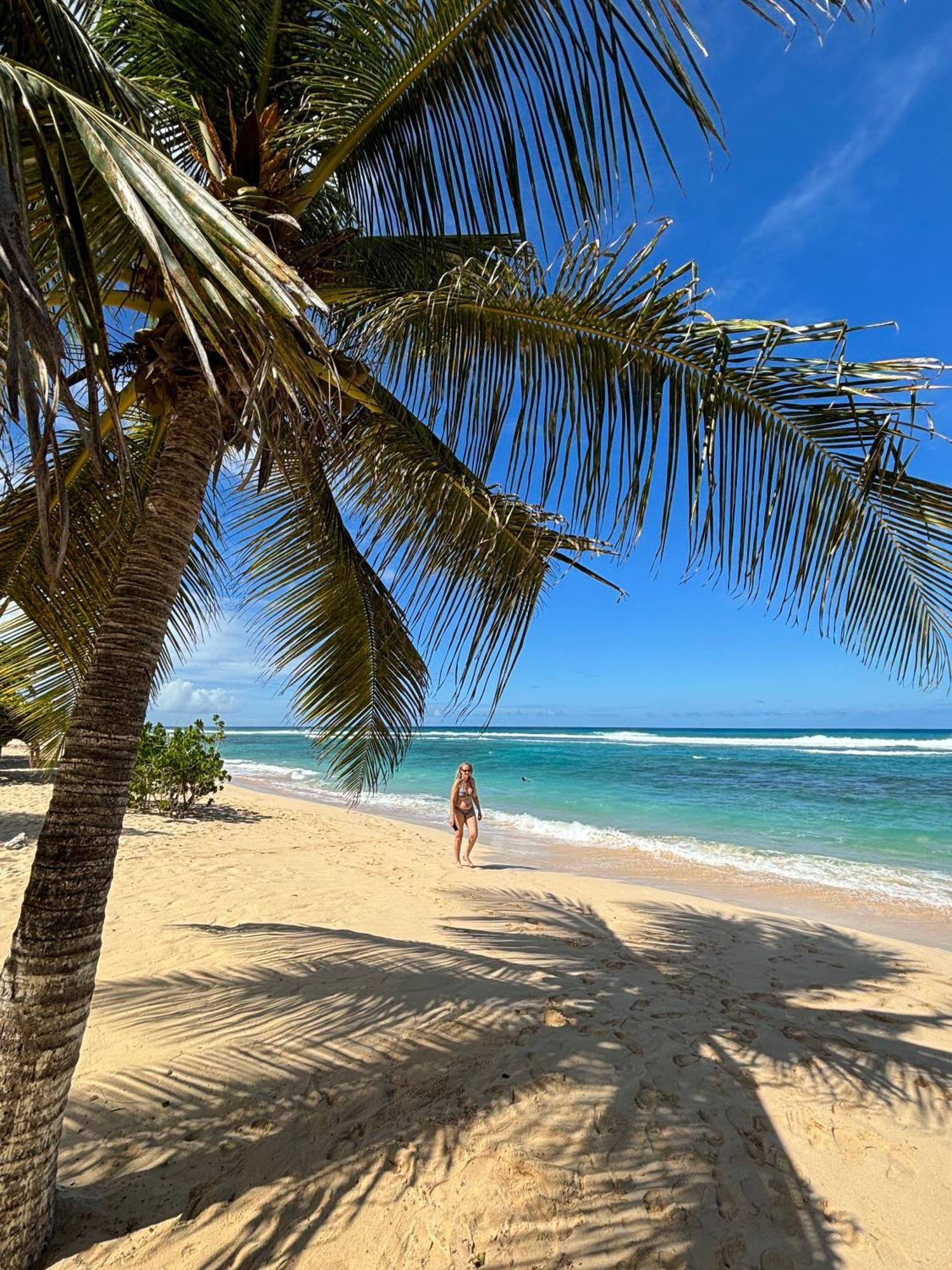 La Maison Creole Du Flamboyant - Proche Des Plages Anse-Bertrand Exterior foto