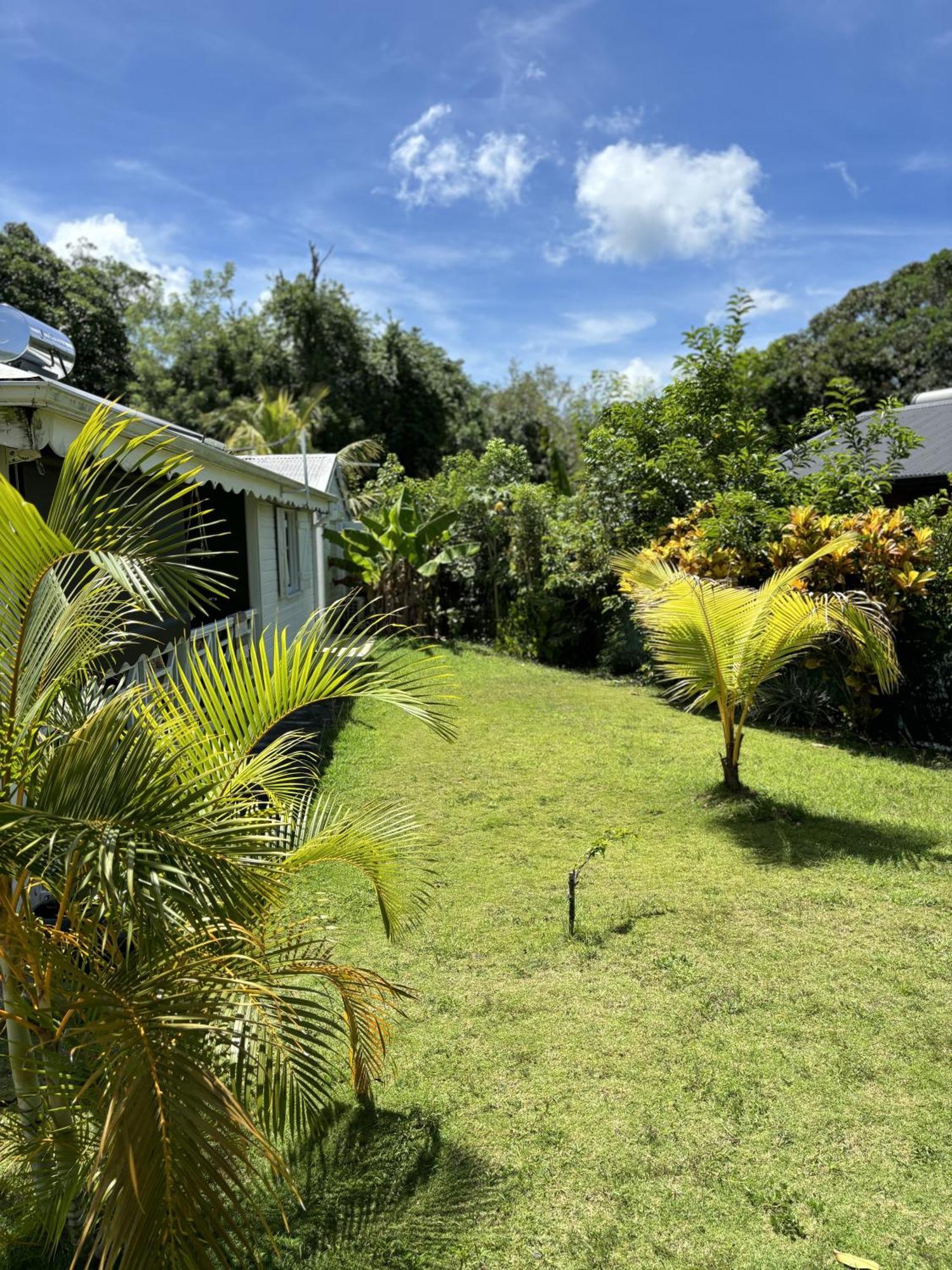 La Maison Creole Du Flamboyant - Proche Des Plages Anse-Bertrand Exterior foto