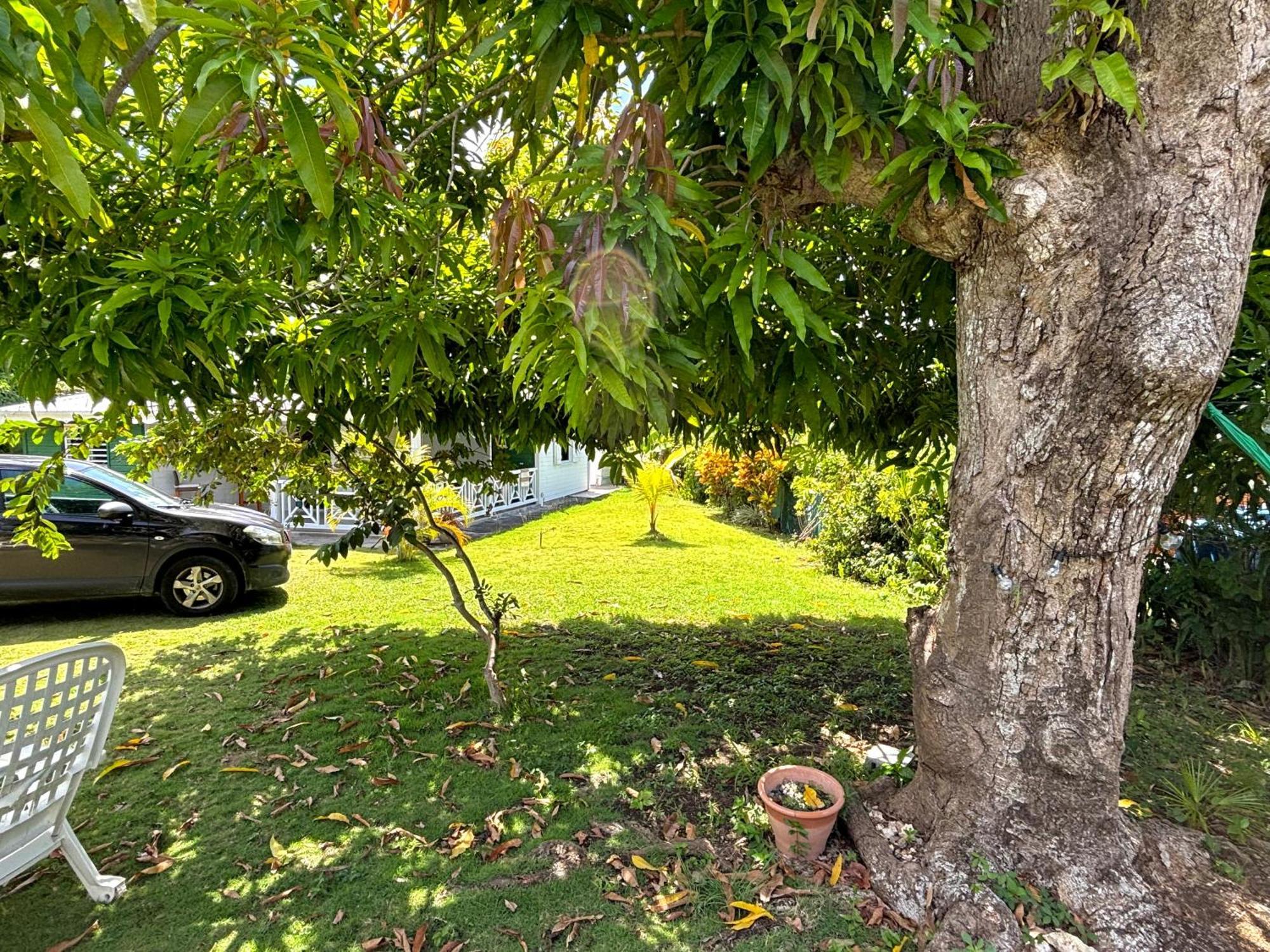 La Maison Creole Du Flamboyant - Proche Des Plages Anse-Bertrand Exterior foto